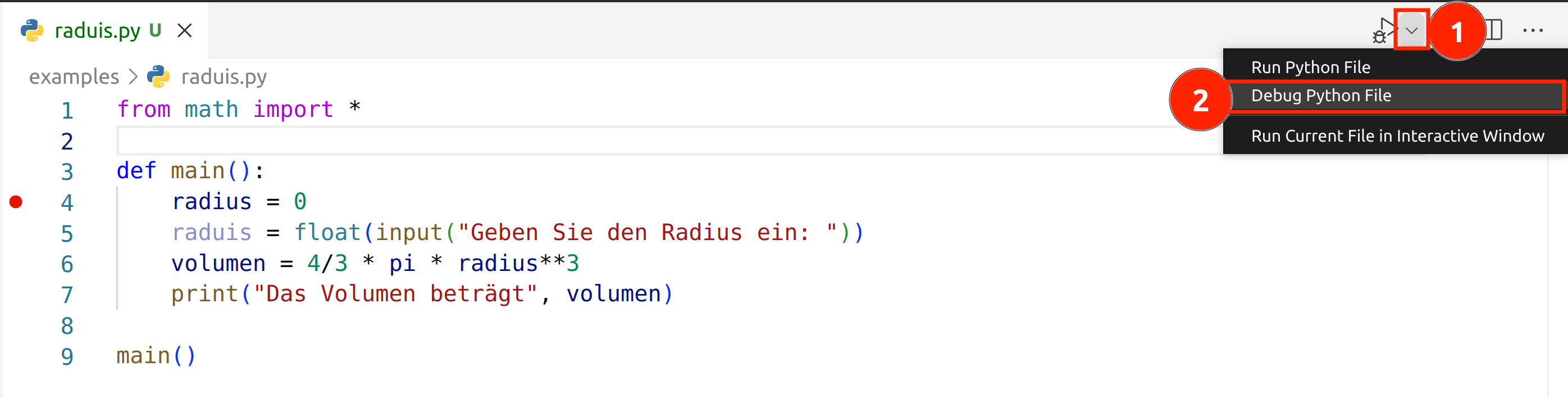 Debug Modus aktivieren und Programm starten